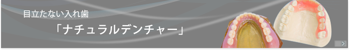 目立たない入れ歯 ナチュラルデンチャー